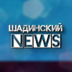 shadinskynews