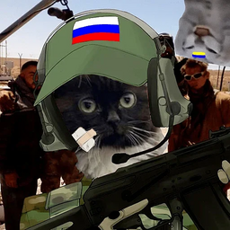 Новогодний чмоня. Кот чмоня военный. Кот чмоня в военной форме. Милитари кот чмоня.