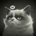 Angry.KOT