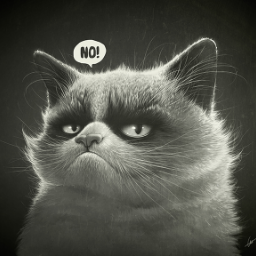 Angry.KOT