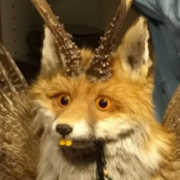 feynkrahven