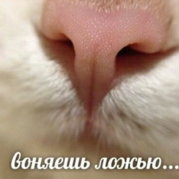 paskudababa