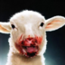 Dolly.Sheep