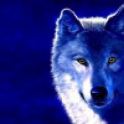 N.Wolf