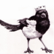 ������ ������������ Magpie888
