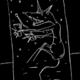 ������ ������������ straydog