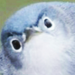 NensiNen