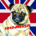 Idiomlish