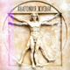 ������ ������������ lifeanatomy