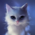 Catplay1234