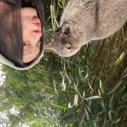 CattyFunctions23