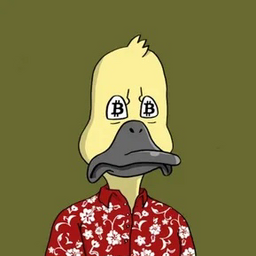 DonaldBIT