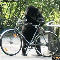 bearwithbicycle