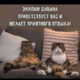 ������ ������������ user7770606