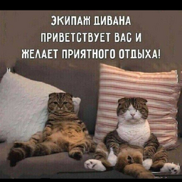 user7770606