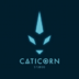 Caticornstudio