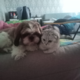 ������ ������������ anyalovesyou