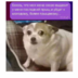 TAAPAKAH