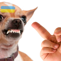 KOHCEPBEP