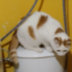 Eihei