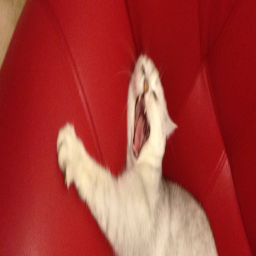 Beasto