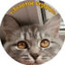 serdtze.zolotoe
