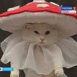 Iz0lenta
