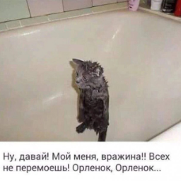 user8204621