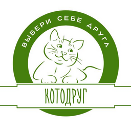 KOTODRUG.MSK