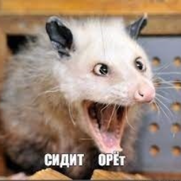LunnyZvezDa4eT