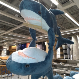 SharkBlossoms
