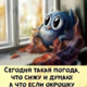 ������ ������������ user8502090