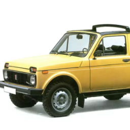 Paradocsis