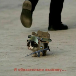 Mexannik99
