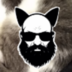 Koshache.podvore