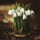 ������ ������������ AnnaRing