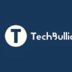 TechBullion