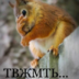 Аватар user8858400