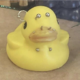 ����� ����� ������ ���� �����������