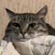 ������ ������������ dirrtypawws