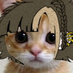 RekoCat