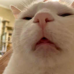 C8H10N4O2