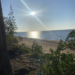Vikiklim