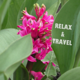 RelaxAndTravel