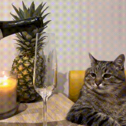 Sulcide