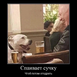 sergei.bulycheva