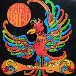 Rare.Bird