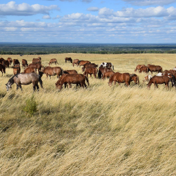 pastukhov.vladik