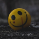 ����� ����� ������ ���� �����������