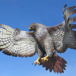 HawkPride